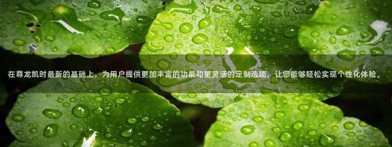 7790必发集团体育凯捷平台主管