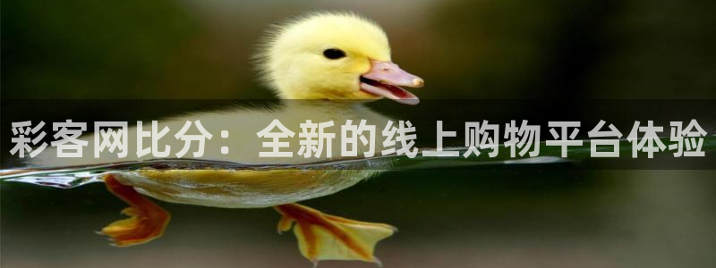 7790必发集团能源：彩客网比分：全新的线上购物平台体验