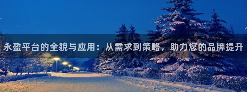 7790必发集团体育代理：永盈平台的全貌与应用：从需求到策略，助力您的品牌提升